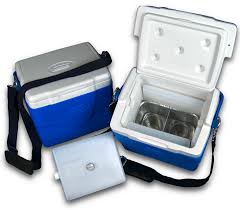 TERMO PARA TRANSPORTE Y CONSERVACIÓN DE VACUNAS