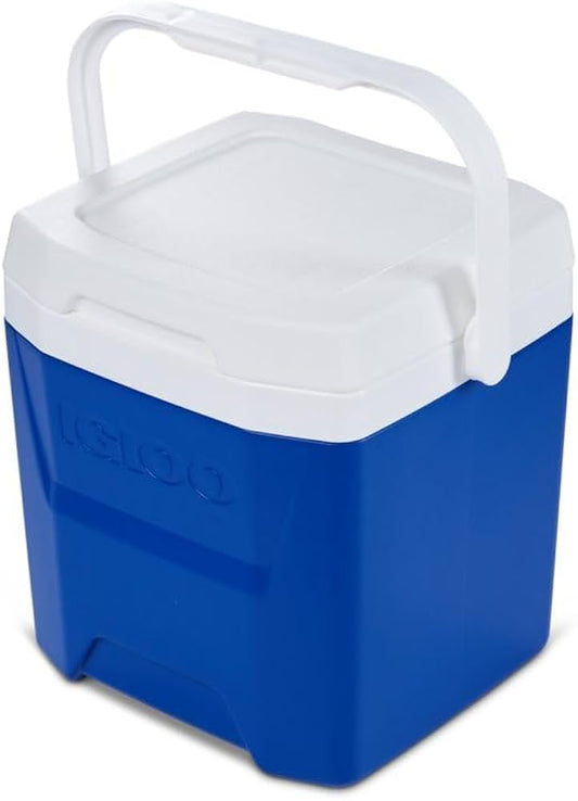 TERMO PARA TRANSPORTE Y CONSERVACIÓN DE VACUNAS - DELCA